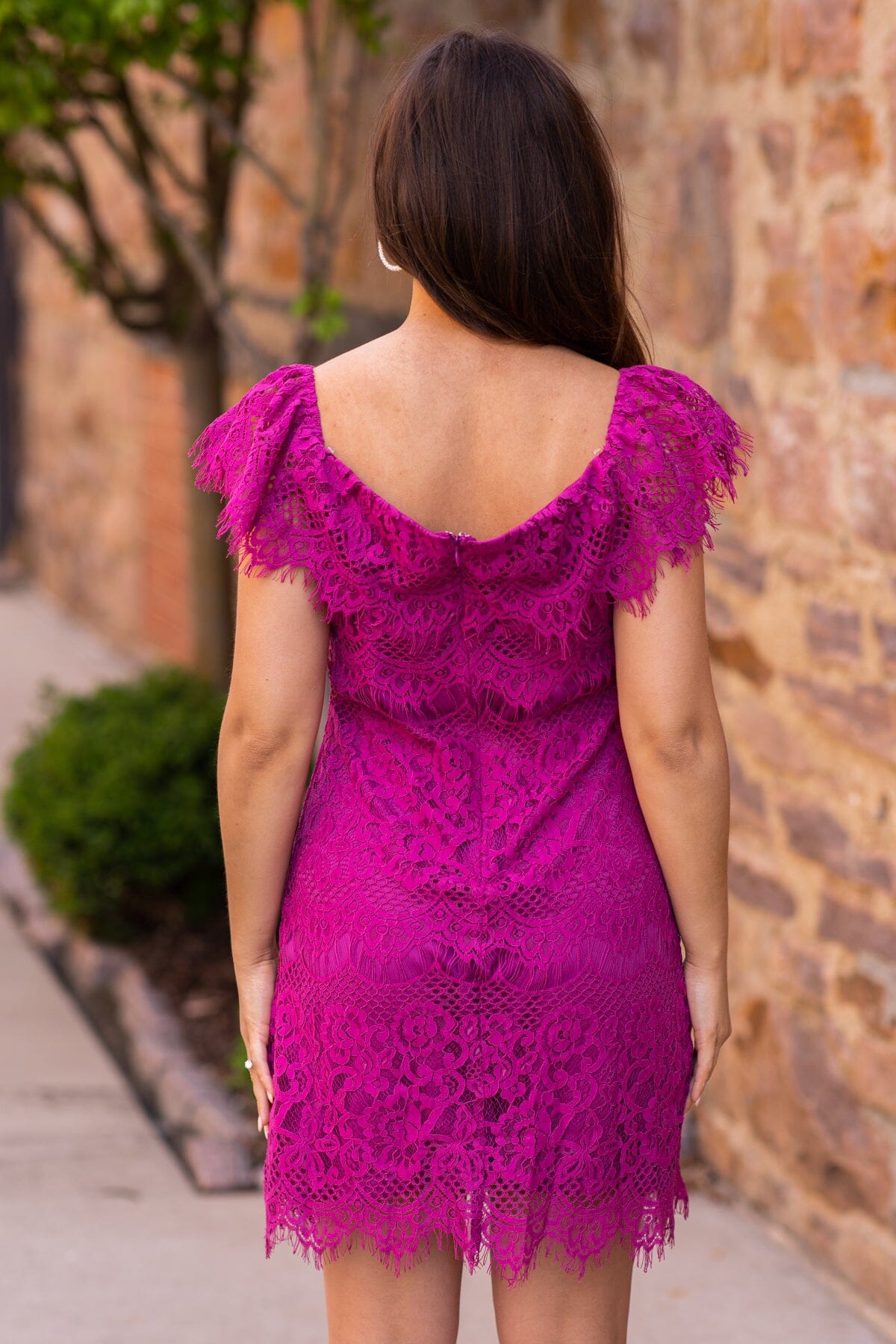 Berry Scalloped Trim Lace Dress